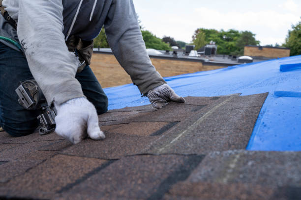 Best Residential Roof Replacement  in Tonganoxie, KS