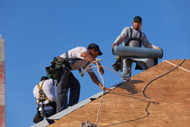 Best Roof Gutter Cleaning  in Tonganoxie, KS
